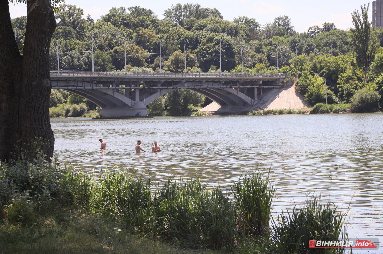 Купальний сезон попри заборону: фоторепортаж із пляжу «Хімік» у Вінниці - фото 9