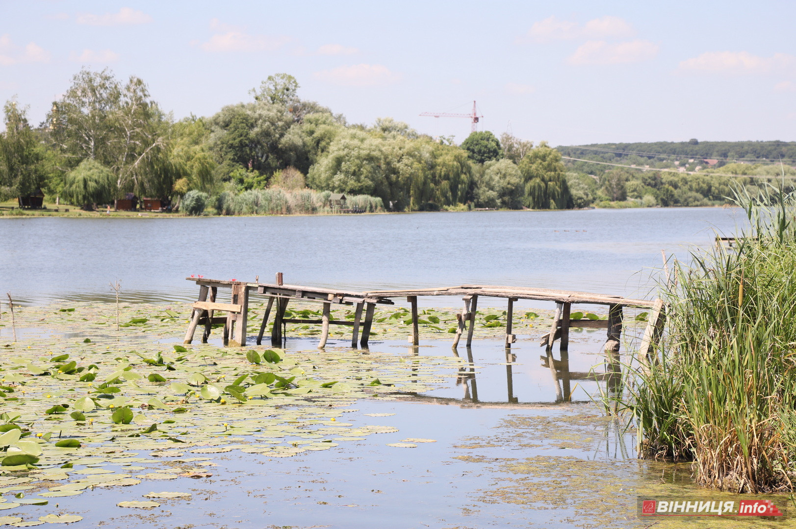 Купальний сезон попри заборону: фоторепортаж із пляжу «Хімік» у Вінниці - фото 34