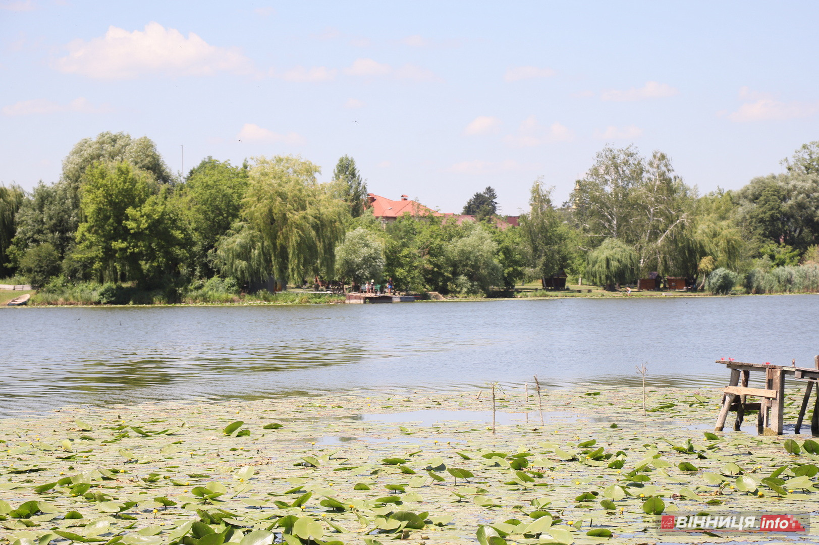 Купальний сезон попри заборону: фоторепортаж із пляжу «Хімік» у Вінниці - фото 15