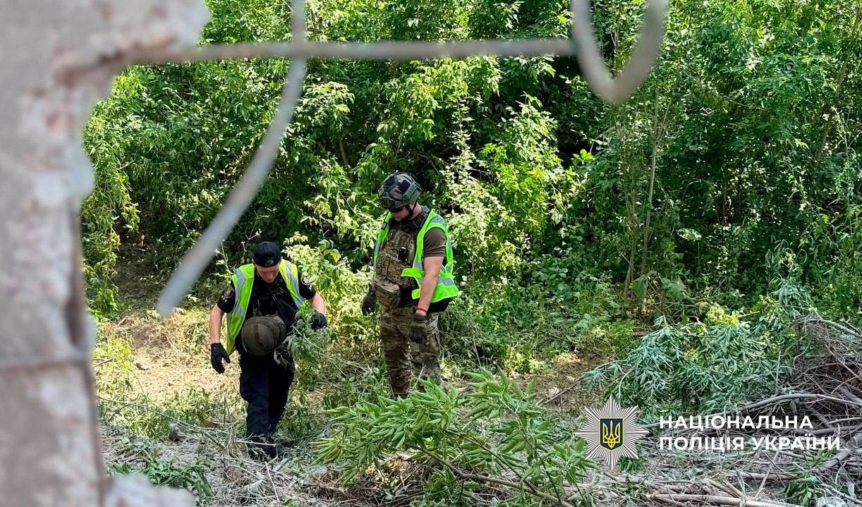 Після масованої атаки у Києві виявили уламки ракети Х-69 та 12 бойових суббоєприпасів - фото 2