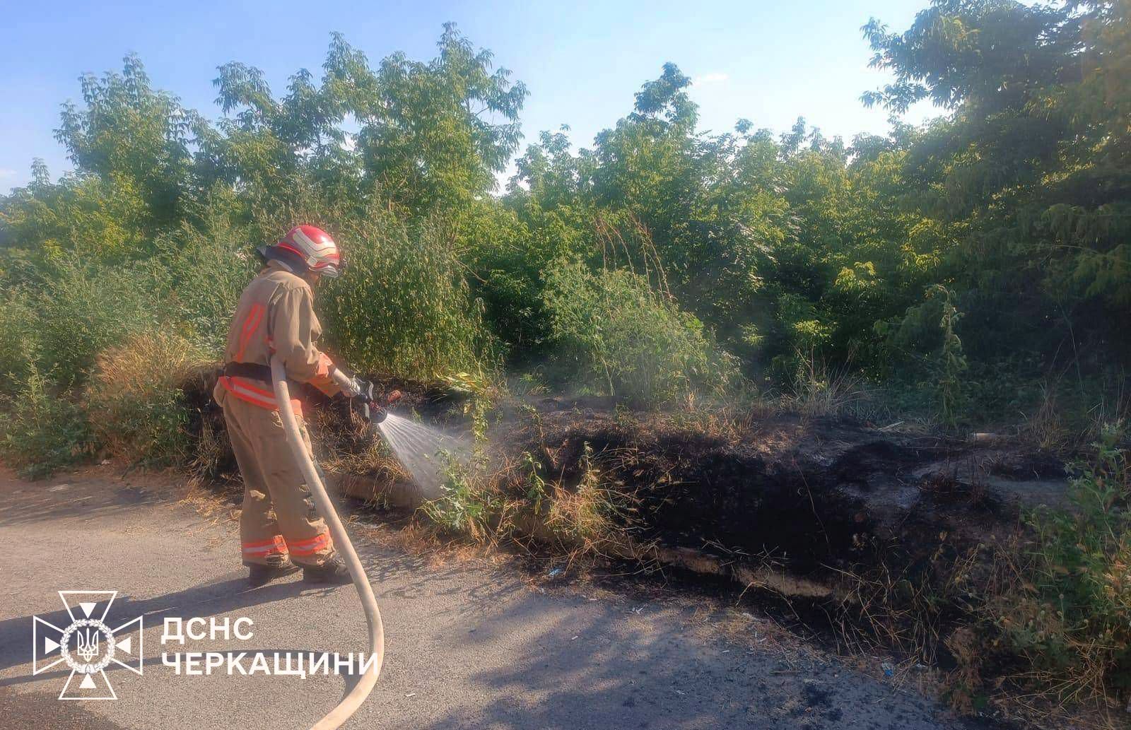 У Черкаській області горіло сміття і сухостій - фото 3