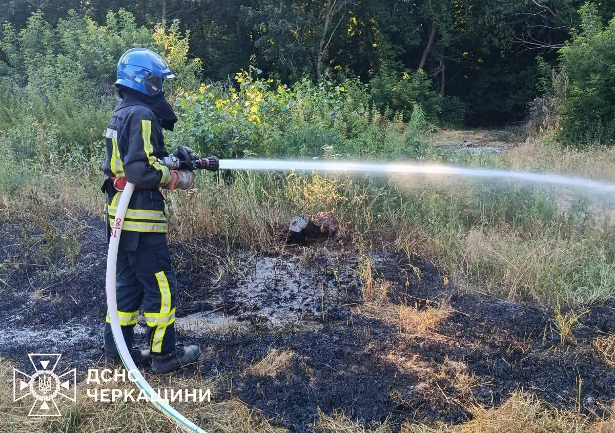 У Черкаській області горіло сміття і сухостій - фото 4