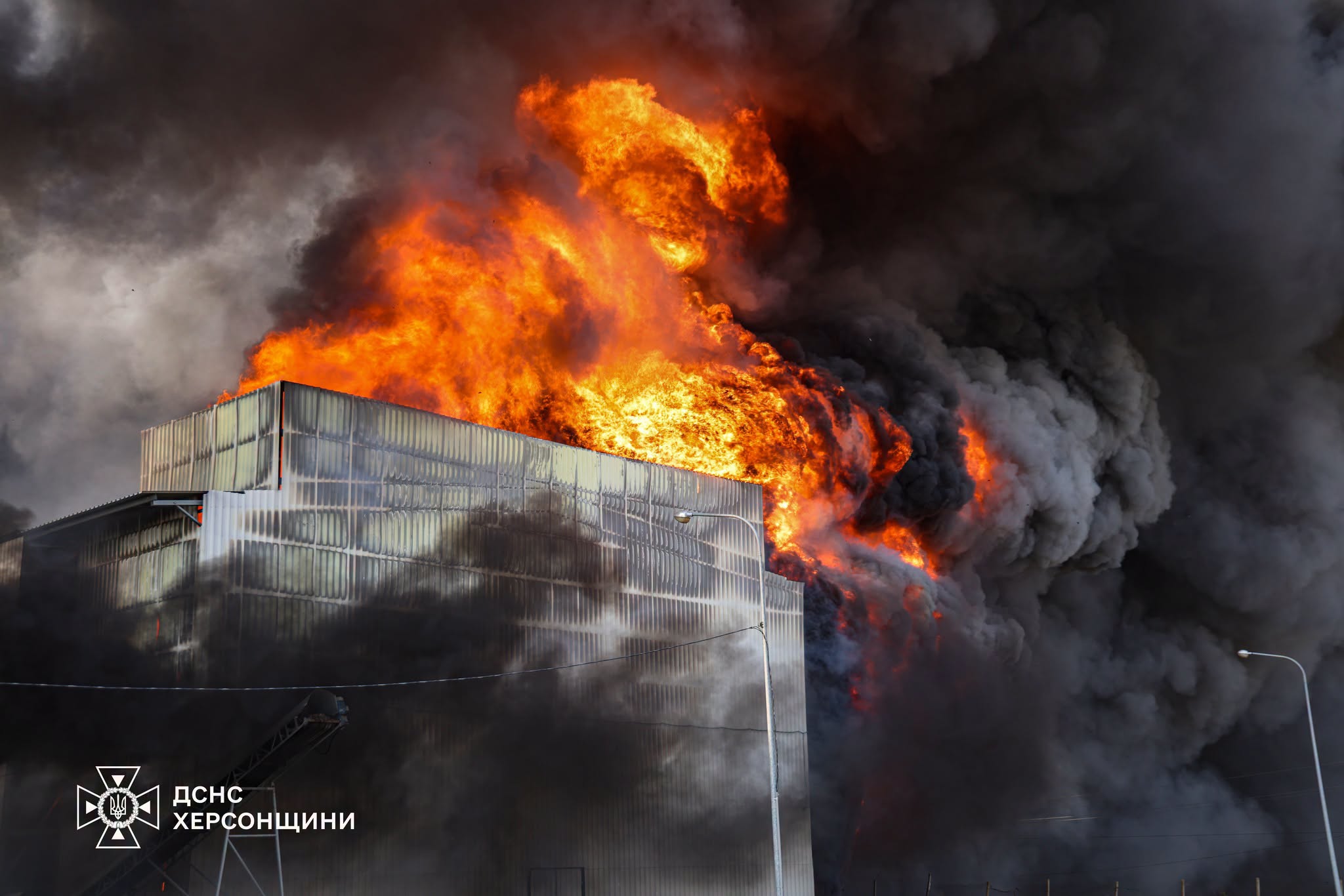 Росіяни атакували одну з найбільших птахофабрик у Європі «Чорнобаївська». Відео - фото 3