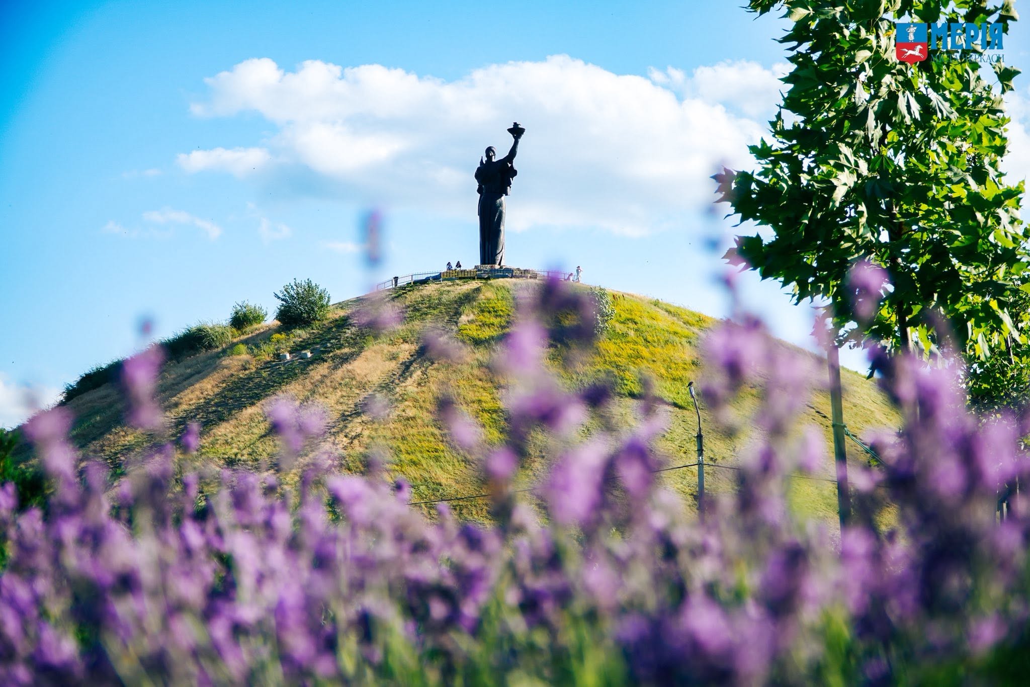 Візитна картка Черкас – неймовірна Долина троянд на березі Дніпра. Фото - фото 3