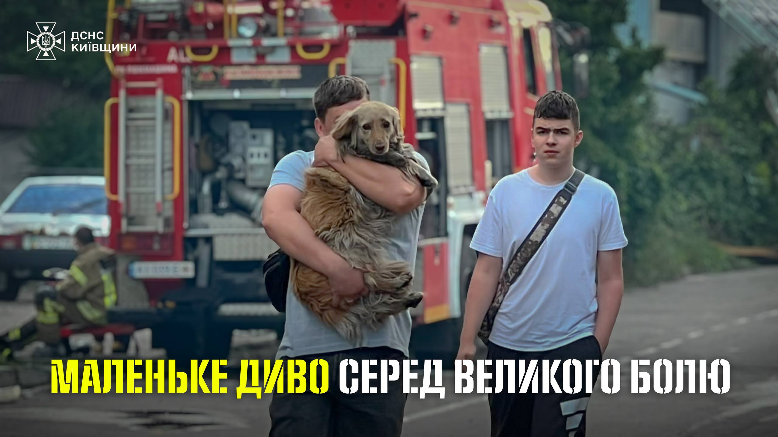 Маленьке диво: на Київщині чоловік відшукав свою собаку, яка втекла через вибухи