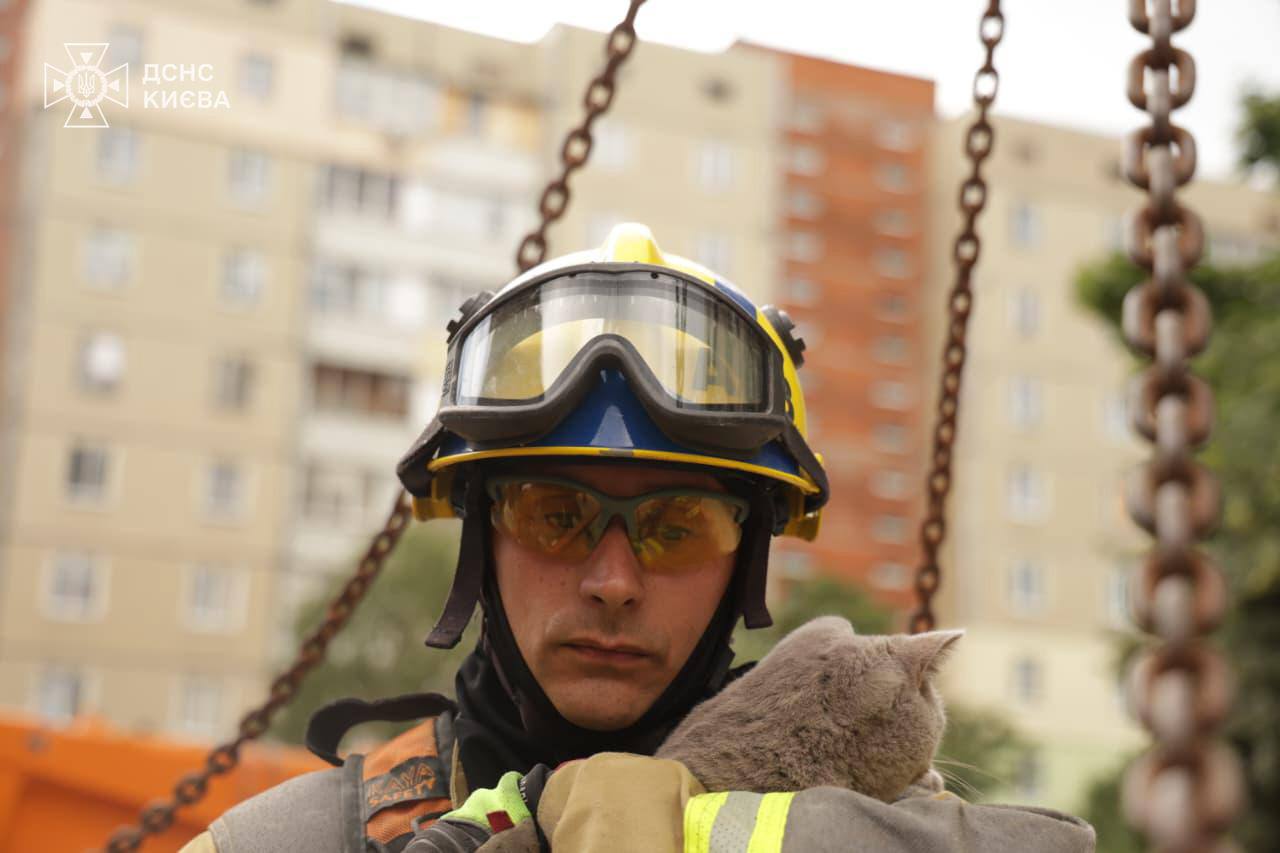 Ховався серед руїн: у Києві врятували кота із квартири, пошкодженої обстрілом