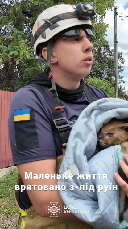 З-під руїн у Вишневому дістали живого обгорілого кота - фото 3