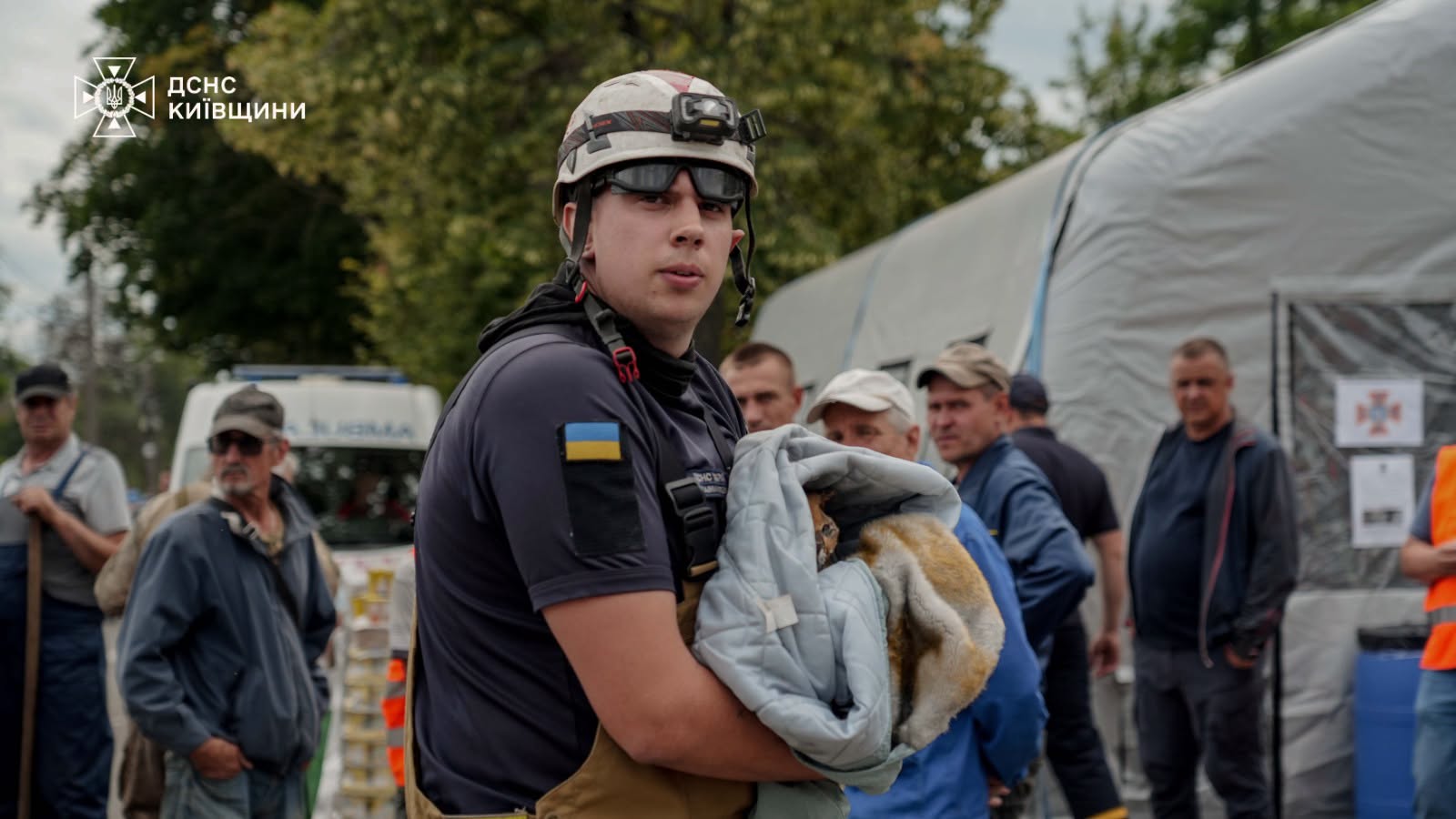 З-під руїн у Вишневому дістали живого обгорілого кота - фото 2