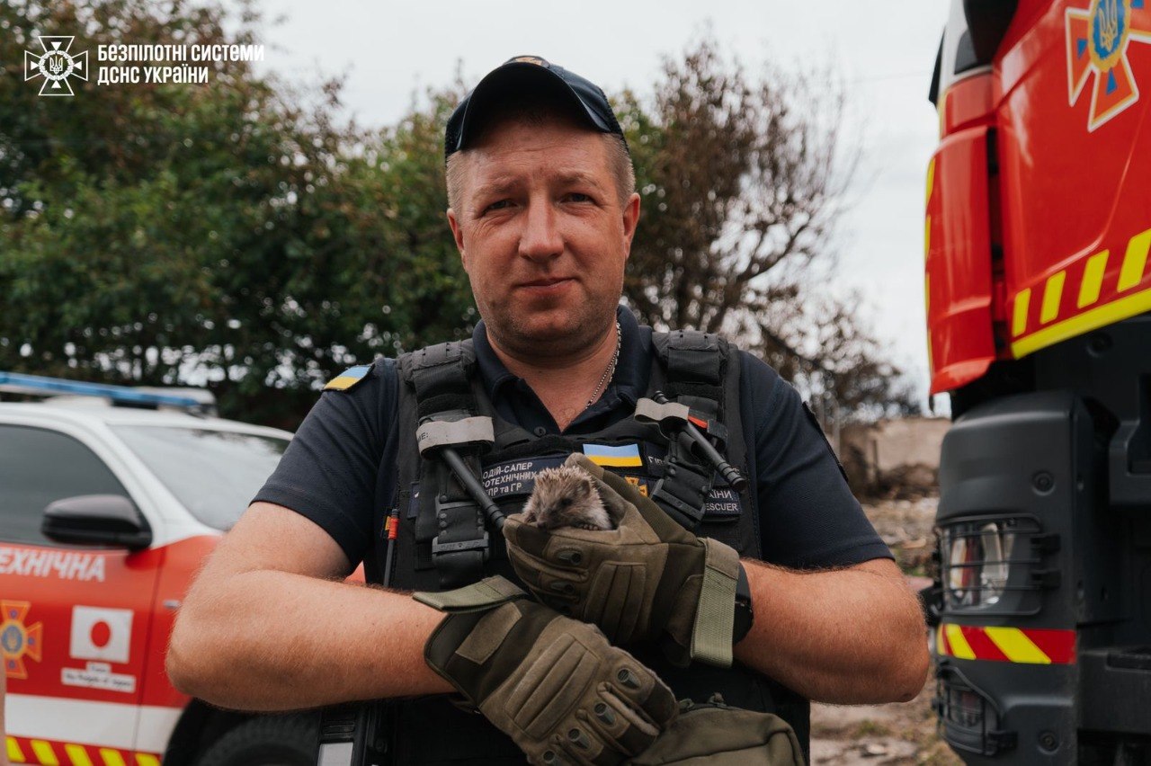 Після ворожої атаки у Вишневому надзвичайники врятували їжачка