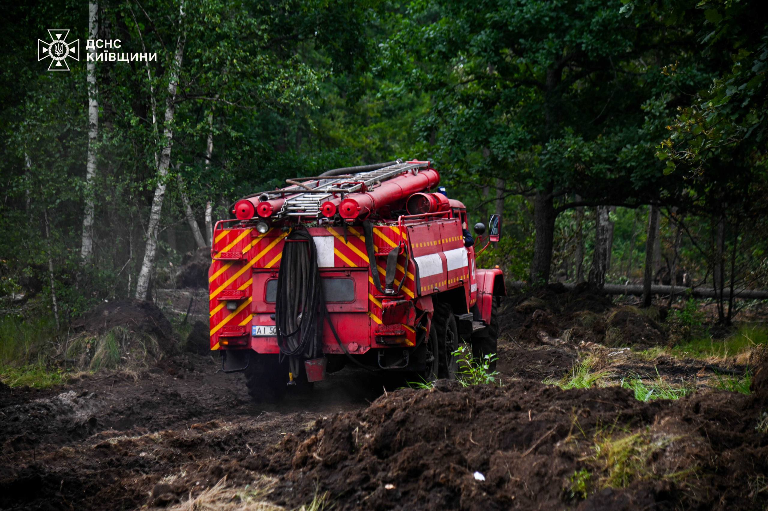 Горіло два тижні: у Чорнобильській зоні відчуження ліквідували пожежу