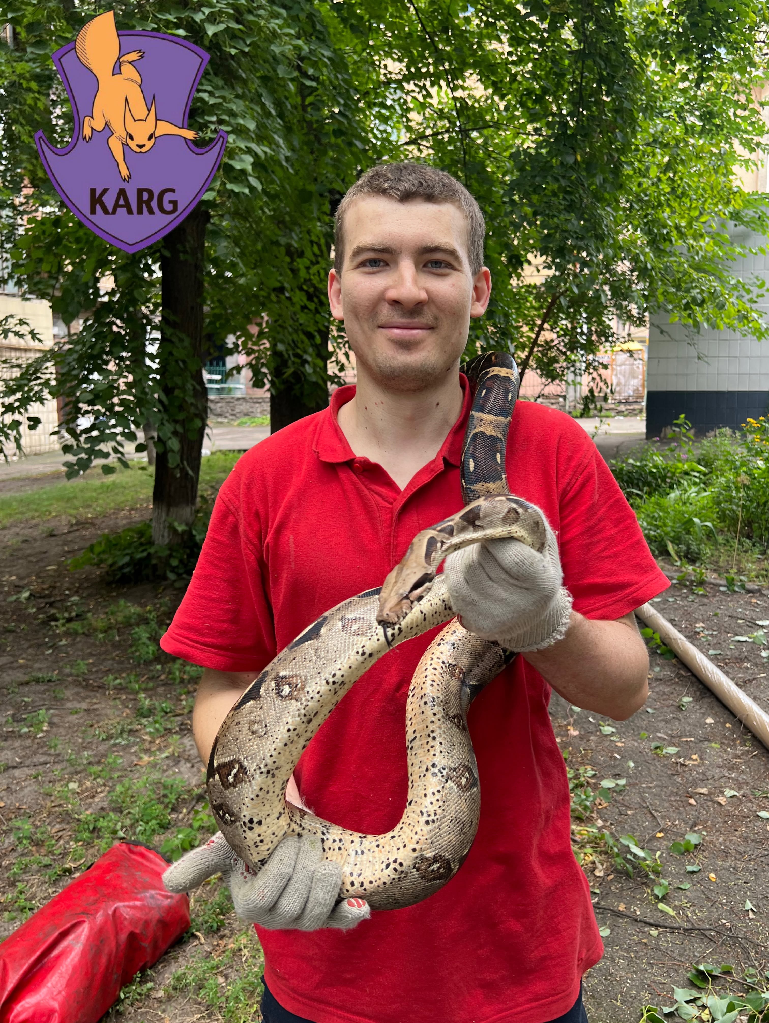 У Києві з дерева зняли імператорського удава - фото 5