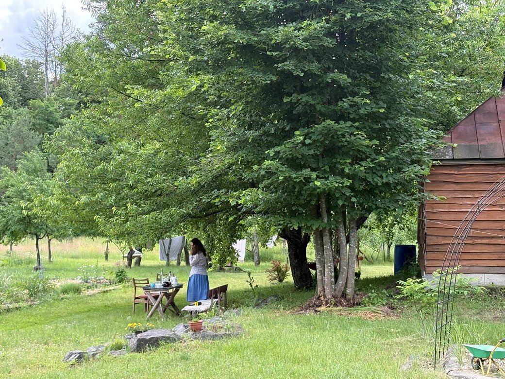 Родина з Черкащини вже 15 років вирощує врожай без хімії та живе посеред лісу - фото 2