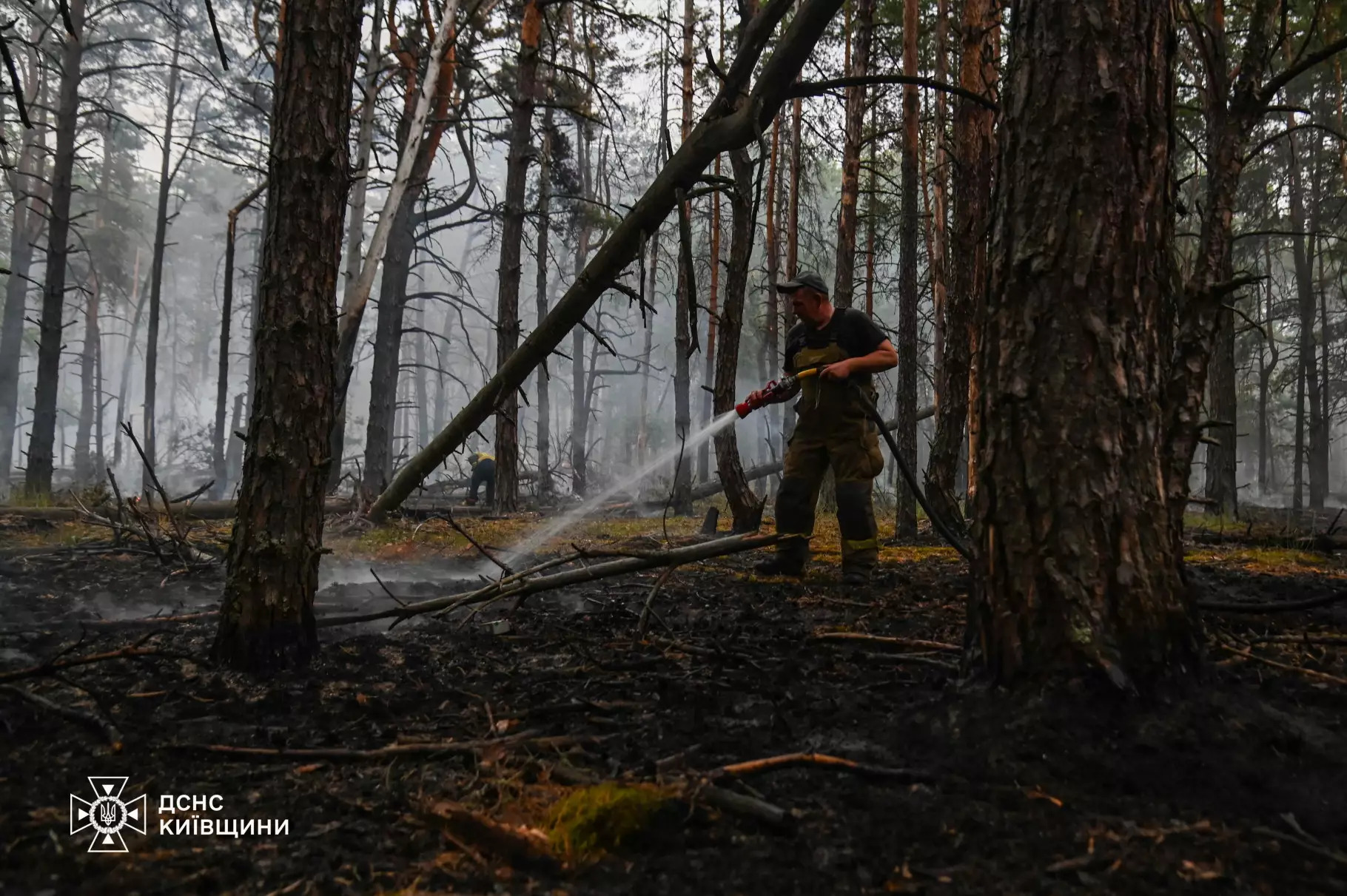У Чорнобильській зоні рятувальники досі ліквідовують наслідки пожежі: що відомо - фото 4