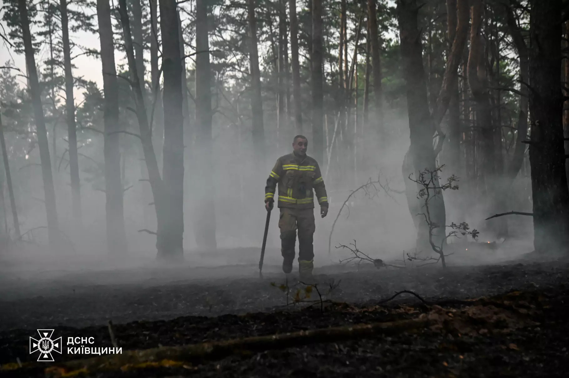 У Чорнобильській зоні рятувальники досі ліквідовують наслідки пожежі: що відомо - фото 10