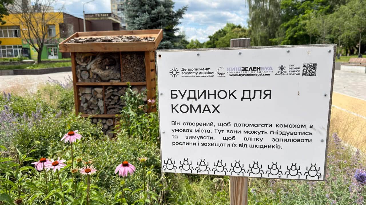 У Києві створили більше будиночків для комах - фото 5