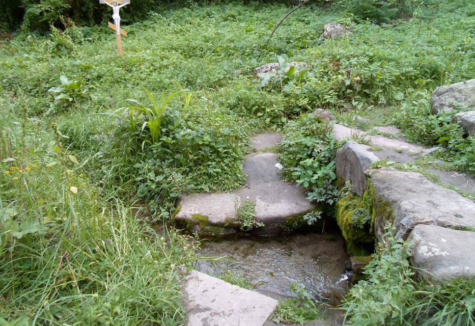 Очищують організм і повертають зір: де б’ють цілющі джерела Черкащини - фото 4