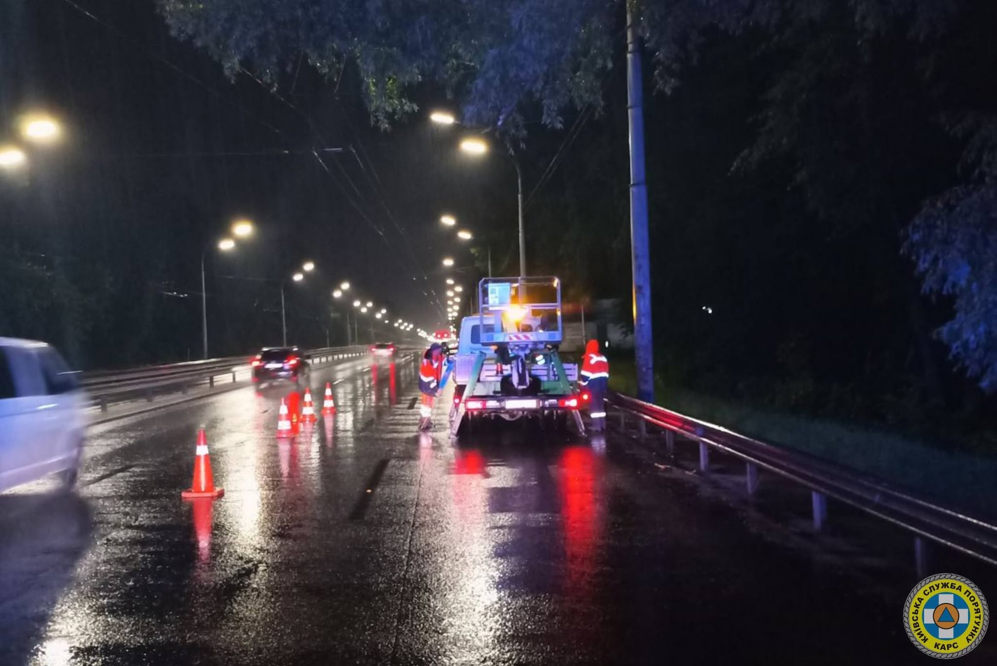 Негода в Києві повалила дерева та пошкодила електромережі