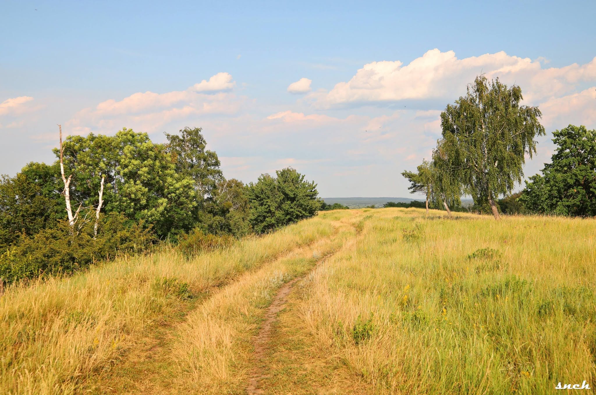 Літній вечір у Каневі. Атмосферні фото з берега Дніпра - фото 4