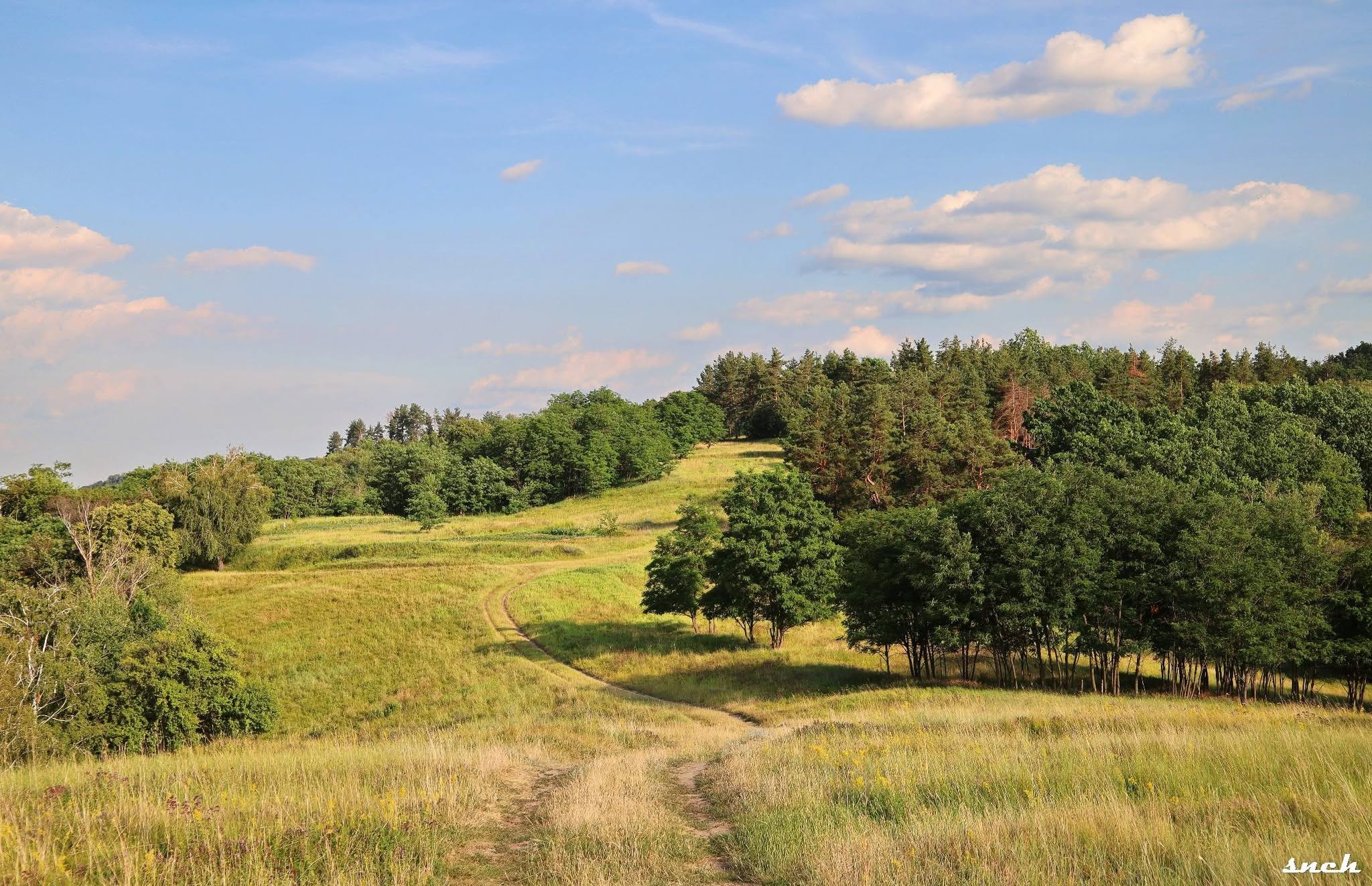Літній вечір у Каневі. Атмосферні фото з берега Дніпра - фото 7