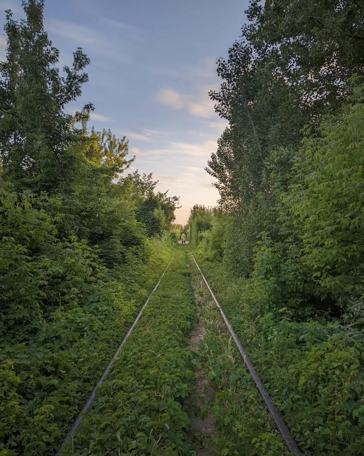 Черкаський Тунель кохання: де знаходиться романтична локація - фото 4