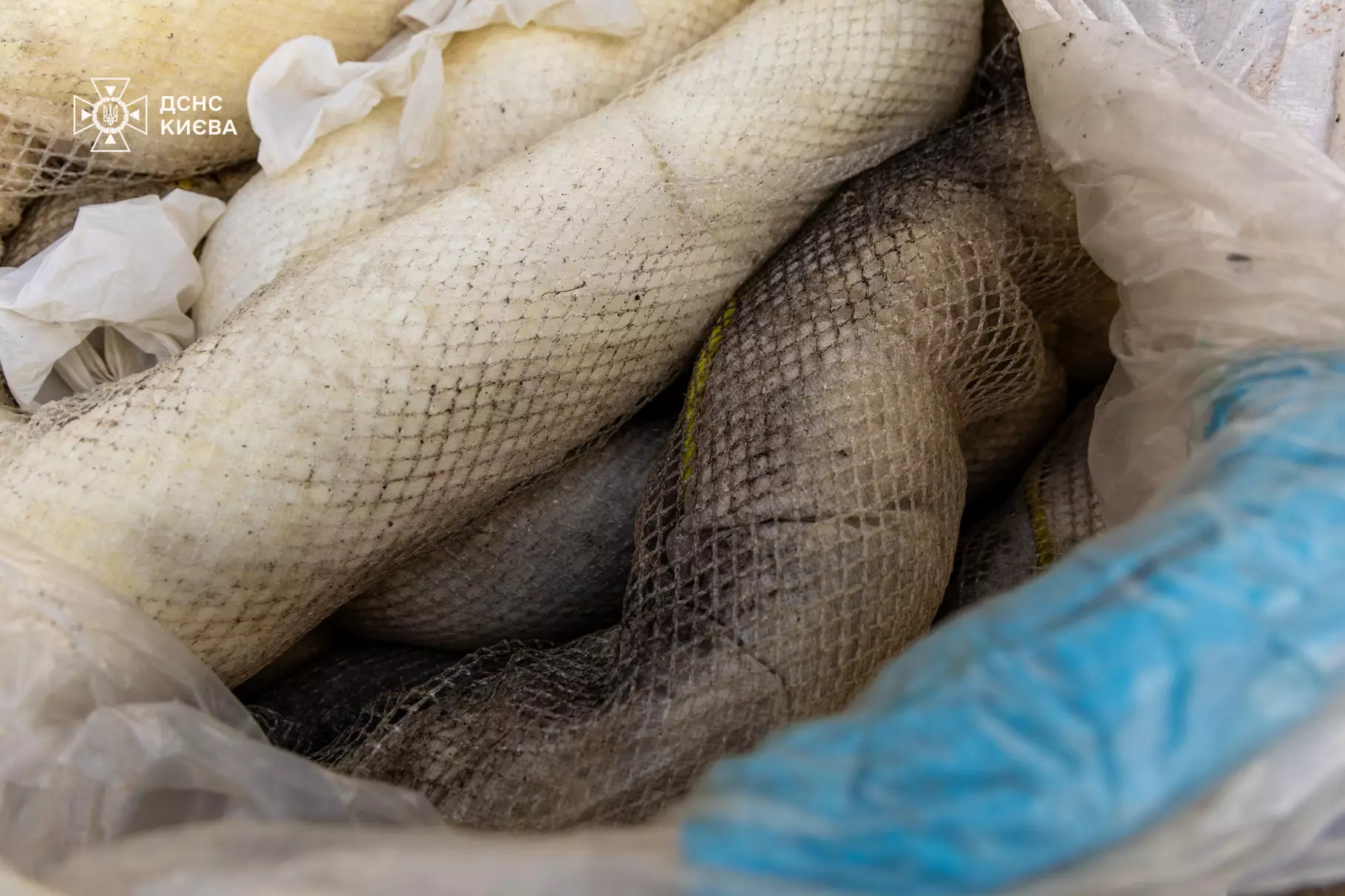 Із озера Кирилівське у Києві зібрали понад 300 кубометрів нафтопродуктів - фото 10