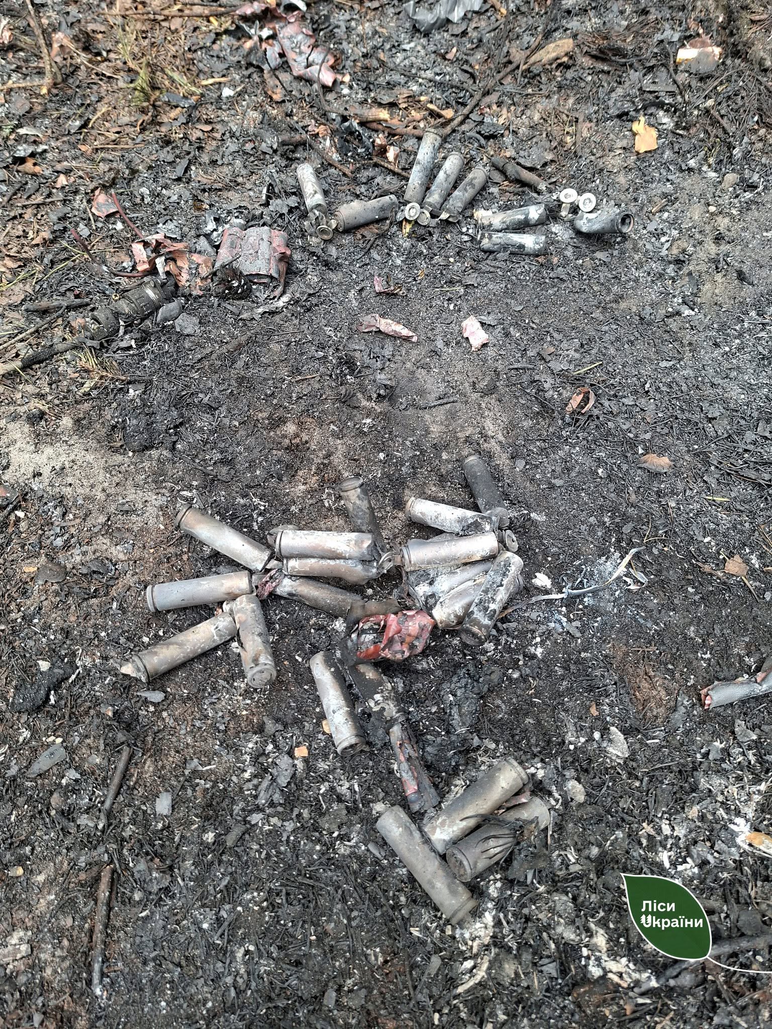 На Київщині горів ліс через падіння уламків ворожого дрона - фото 2