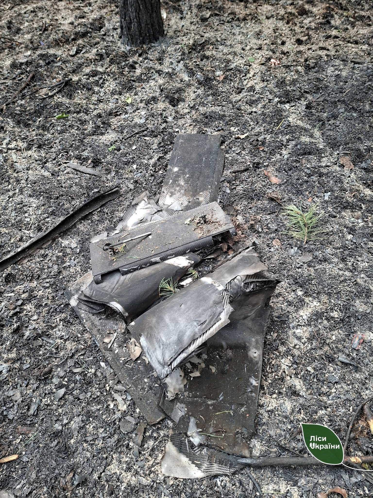 На Київщині горів ліс через падіння уламків ворожого дрона - фото 3