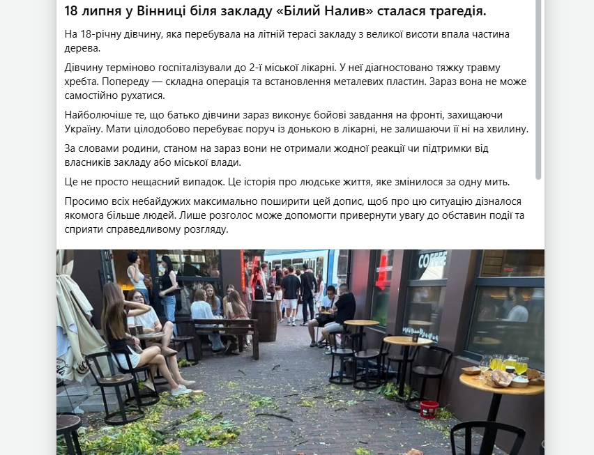 Біля кав’ярні у середмісті Вінниці дерево впало на дівчину