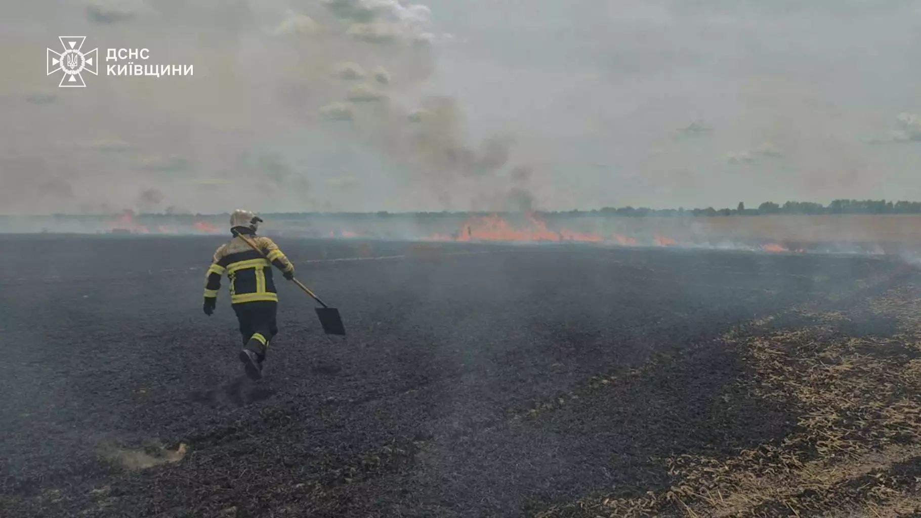 На Київщині горіло поле з пшеницею
