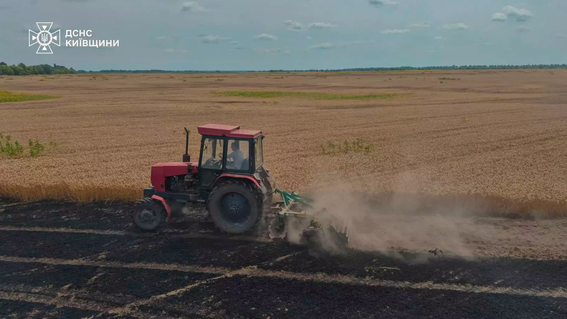 На Київщині горіло поле з пшеницею - фото 4