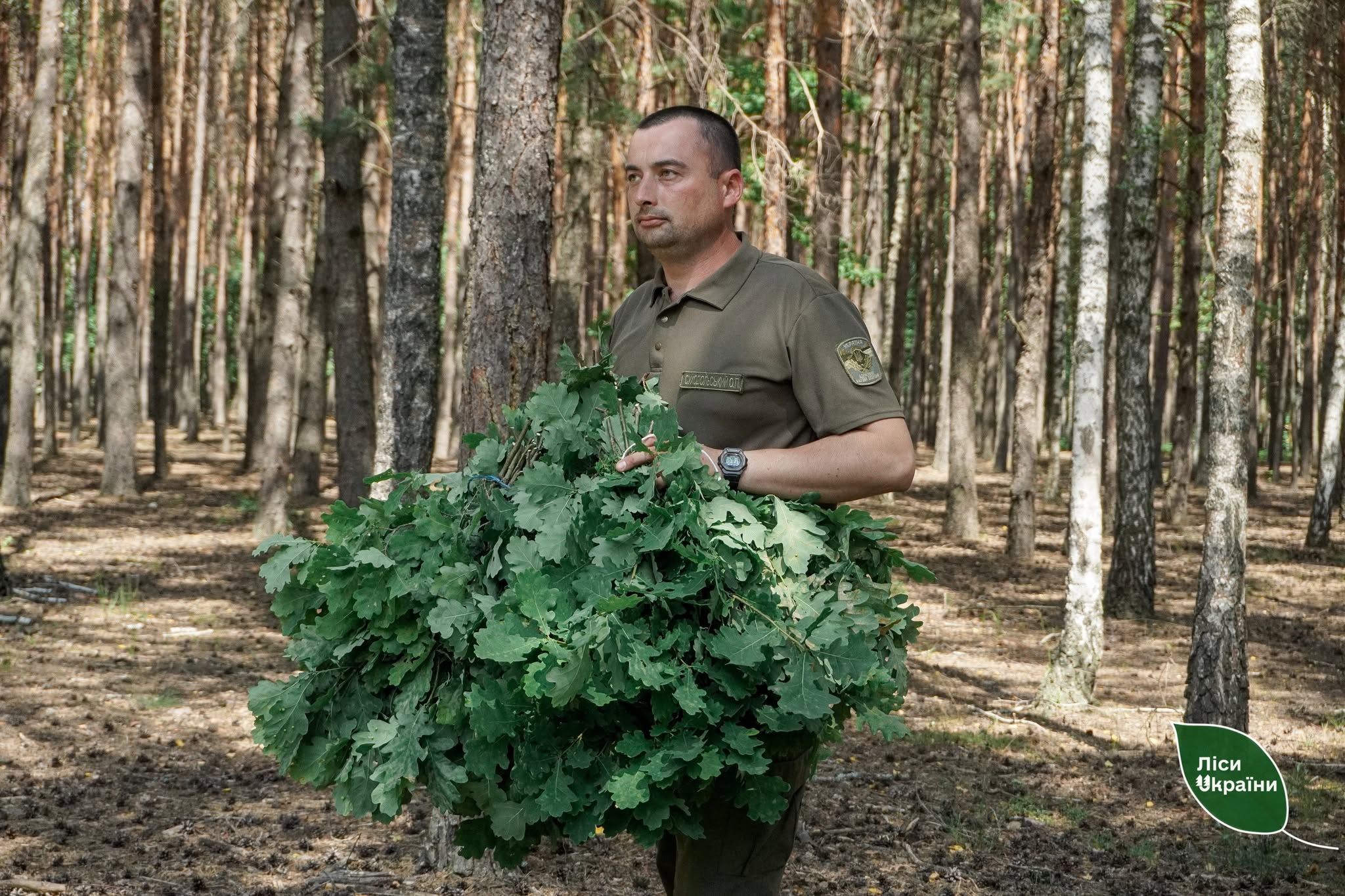 У лісах Київщини заготовляють понад 300 тонн кормів для диких тварин