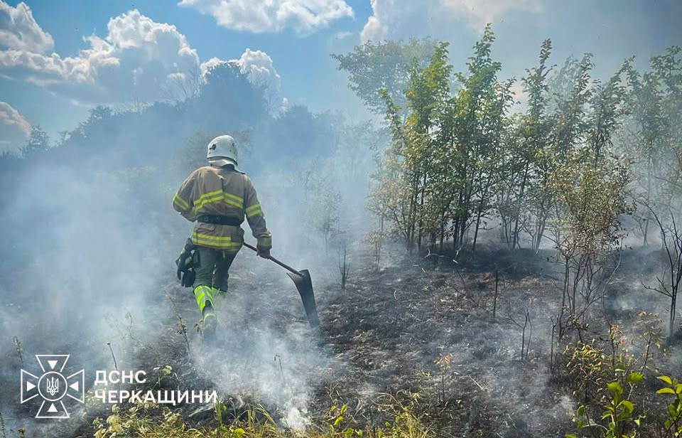 На Черкащині через недопалки та дитячі пустощі виникли пожежі