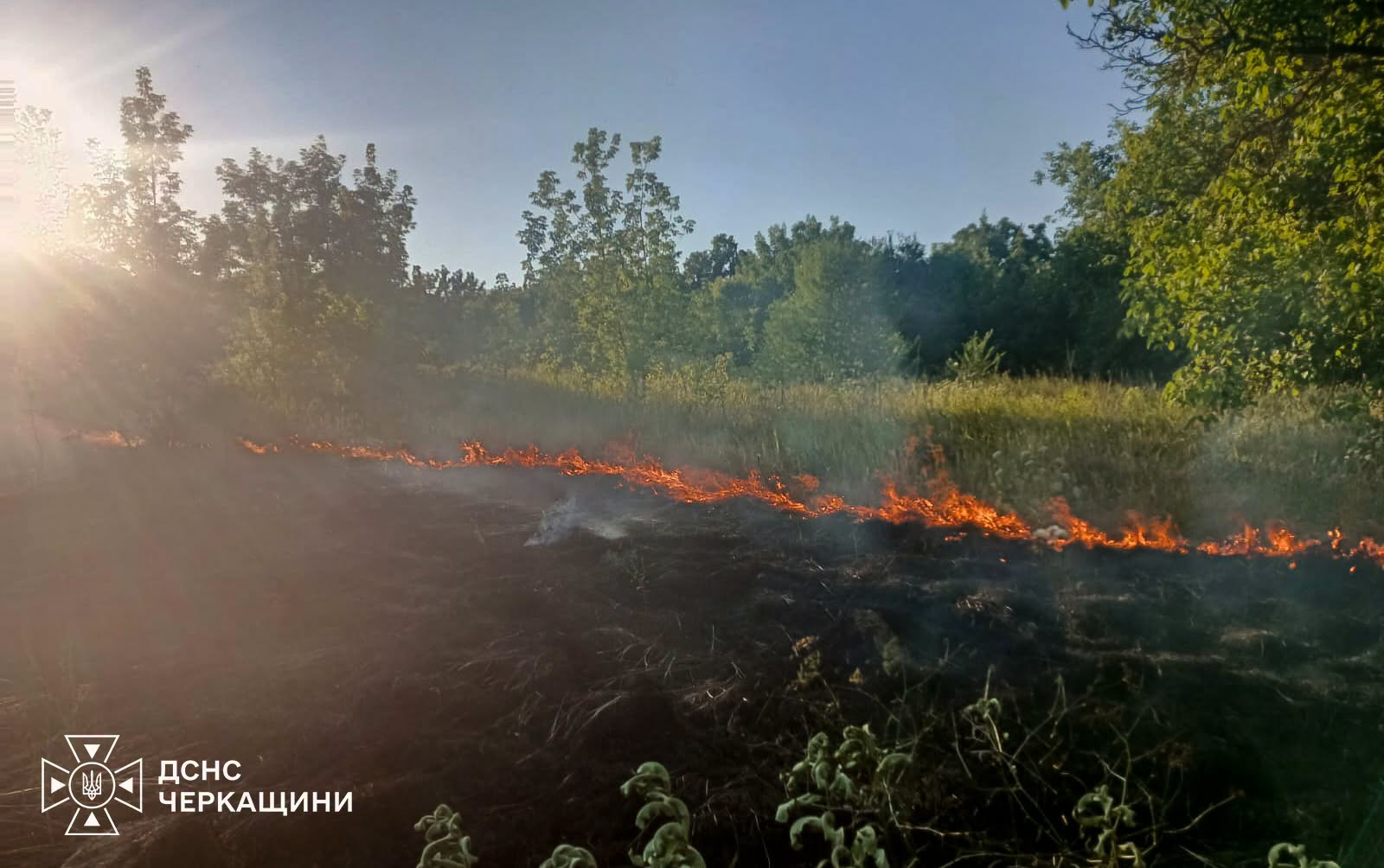 На Черкащині через недопалки та дитячі пустощі виникли пожежі - фото 4