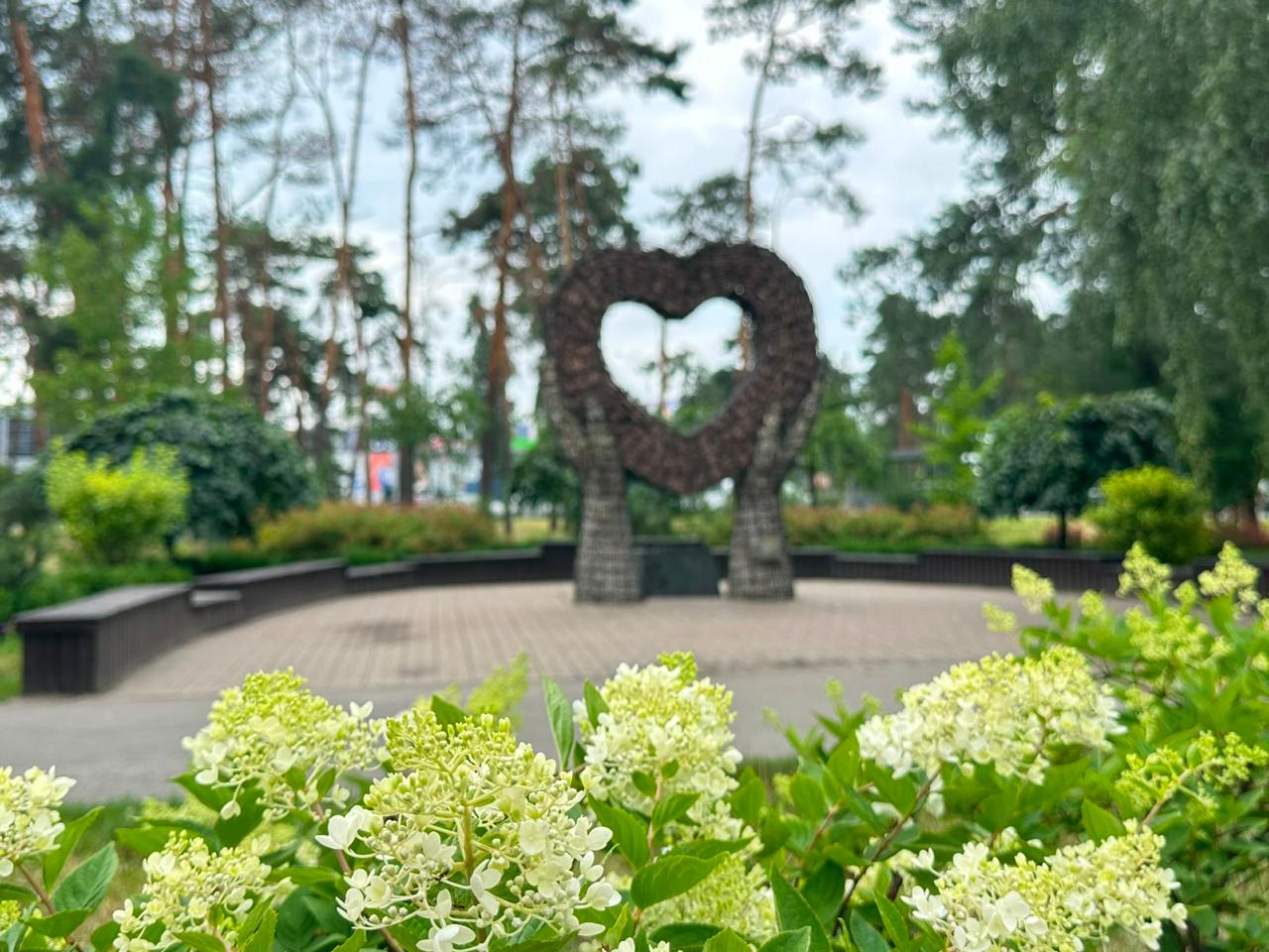Сезон цвітіння гортензій: квітучі локації для фото у Києві - фото 2