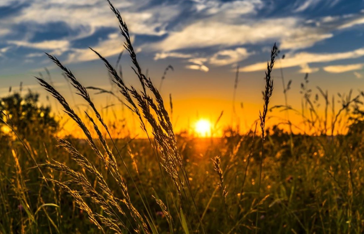 Яке сьогодні церковне свято – 30 липня 2026 року: кого вшановують православні, традиції дня та народні прикмети - фото 3
