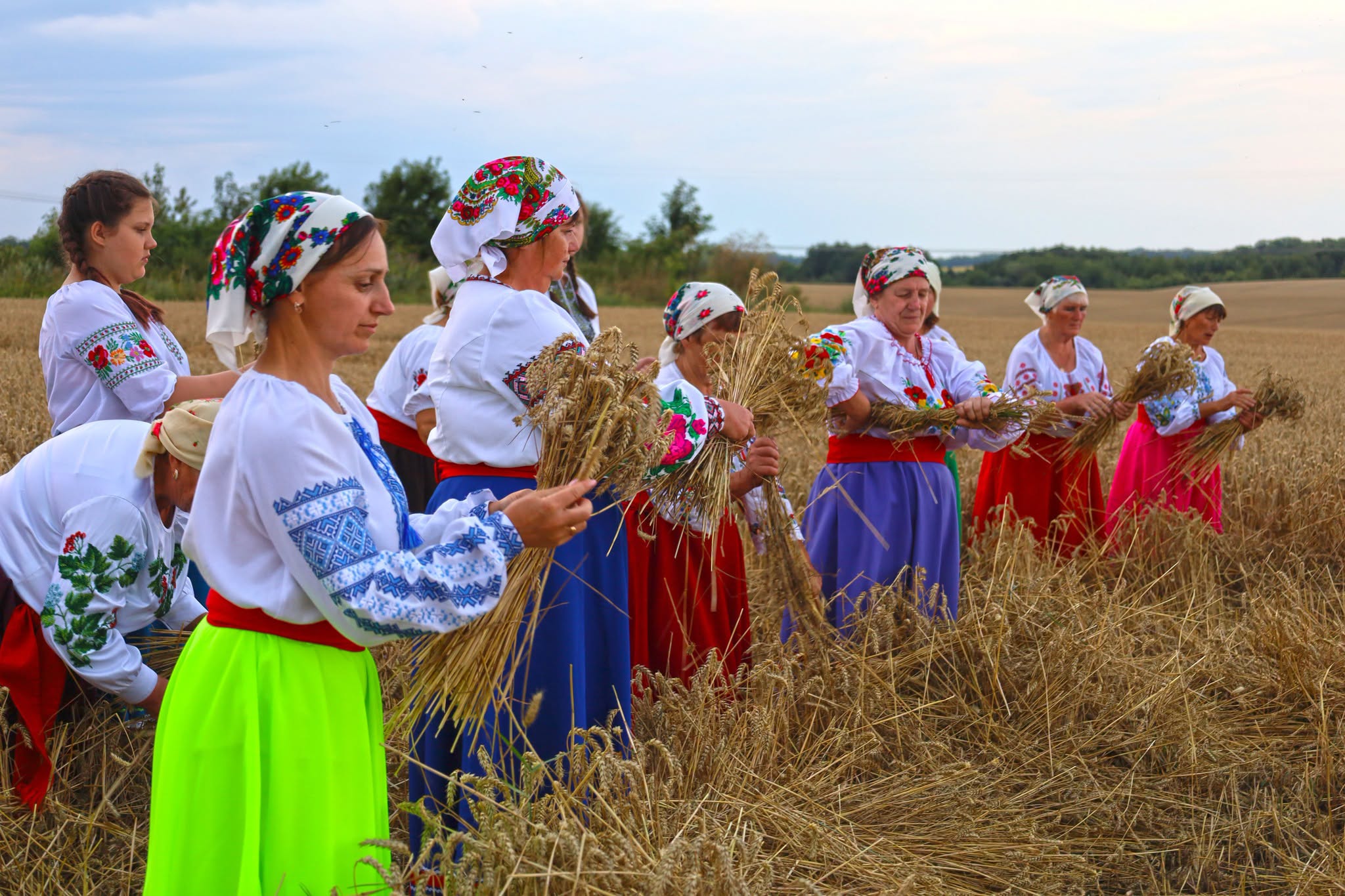 Народні пісні й стародавні звичаї: обряд зажинок відбувся в селах Вінниччини - фото 13