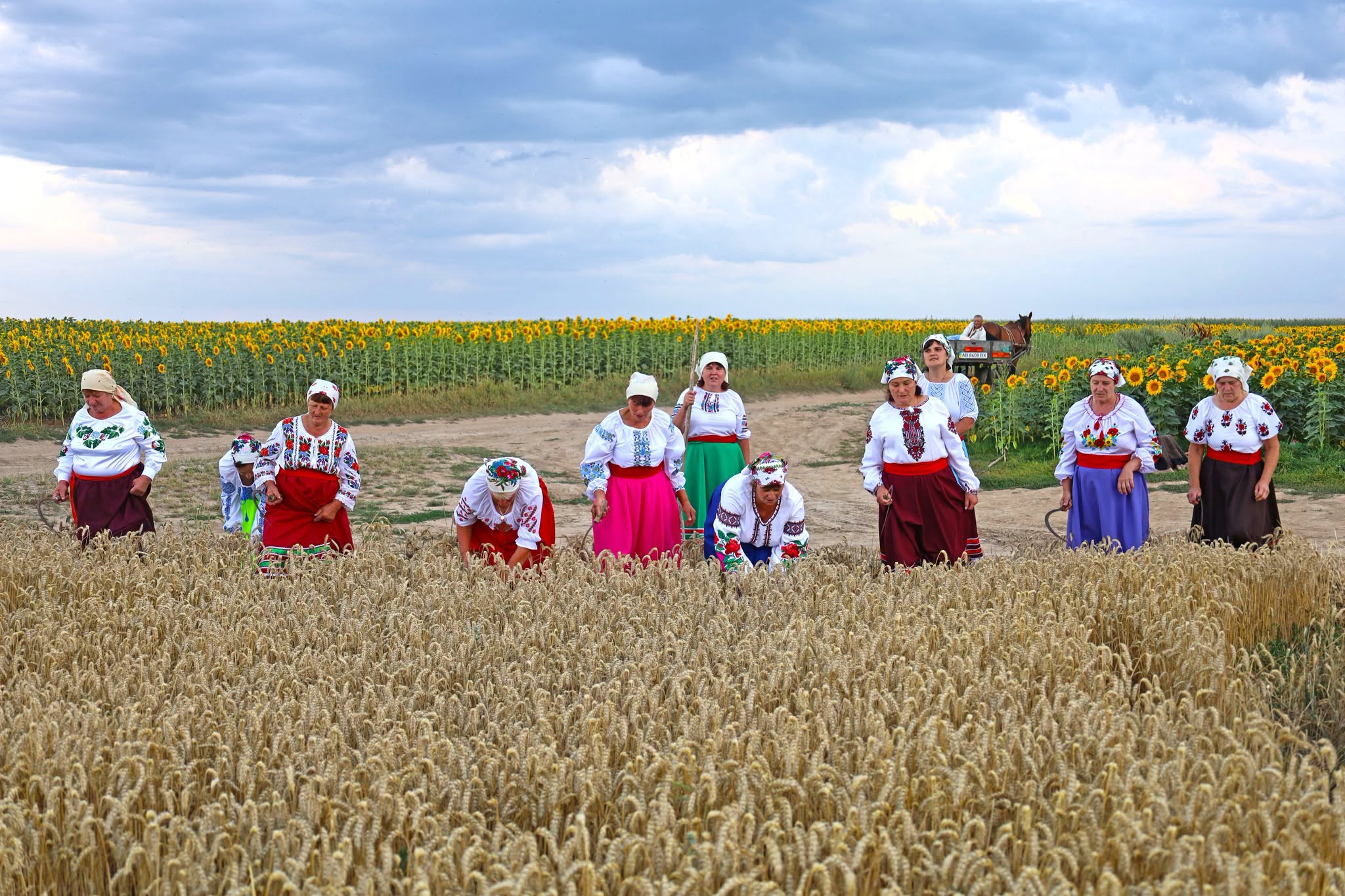 Народні пісні й стародавні звичаї: обряд зажинок відбувся в селах Вінниччини - фото 12