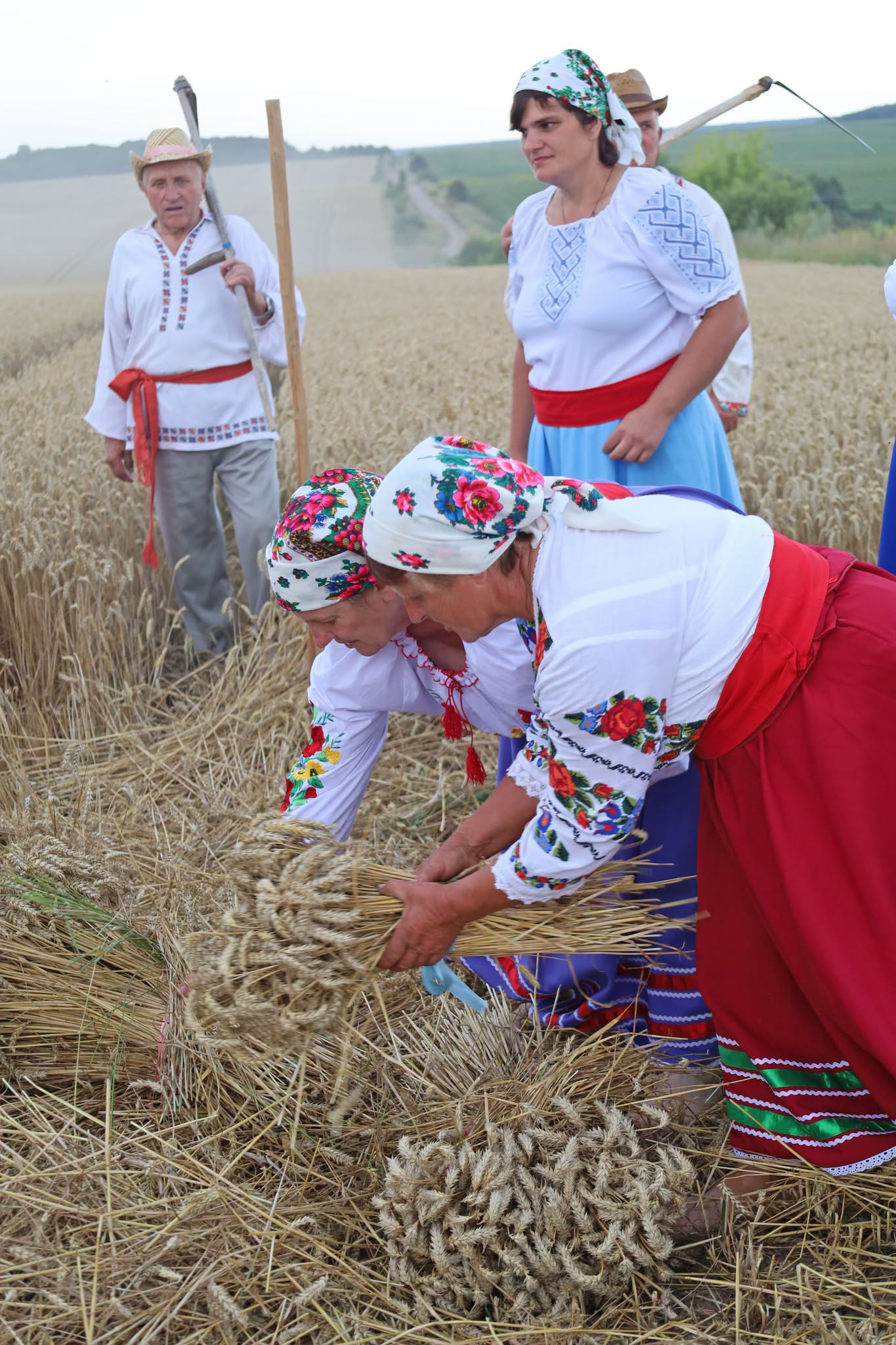 Народні пісні й стародавні звичаї: обряд зажинок відбувся в селах Вінниччини - фото 29