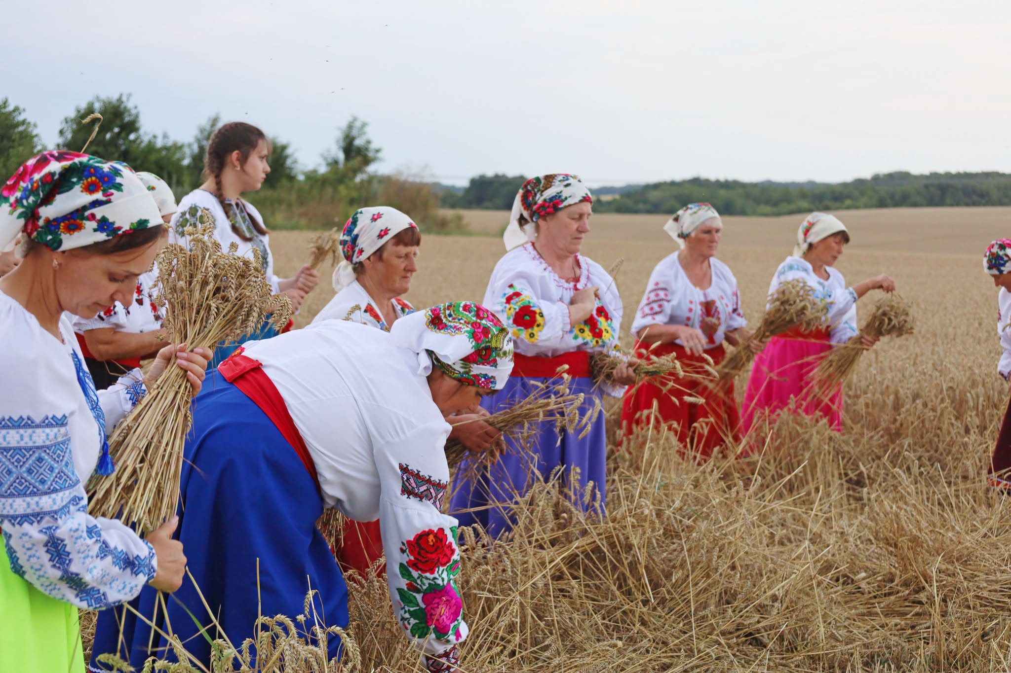Народні пісні й стародавні звичаї: обряд зажинок відбувся в селах Вінниччини - фото 2
