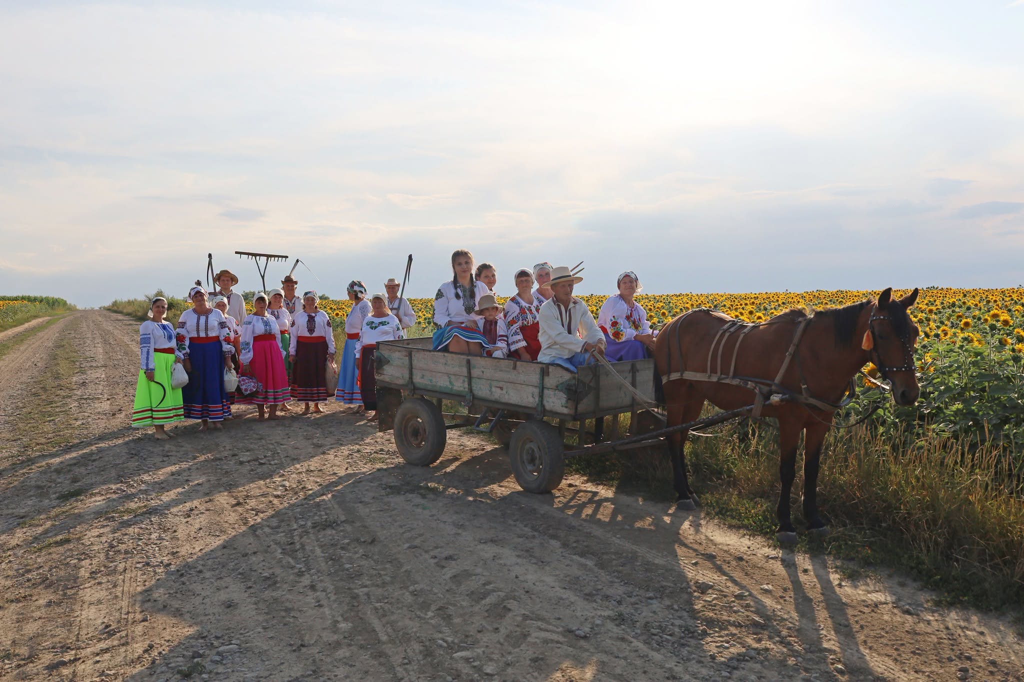 Народні пісні й стародавні звичаї: обряд зажинок відбувся в селах Вінниччини - фото 4