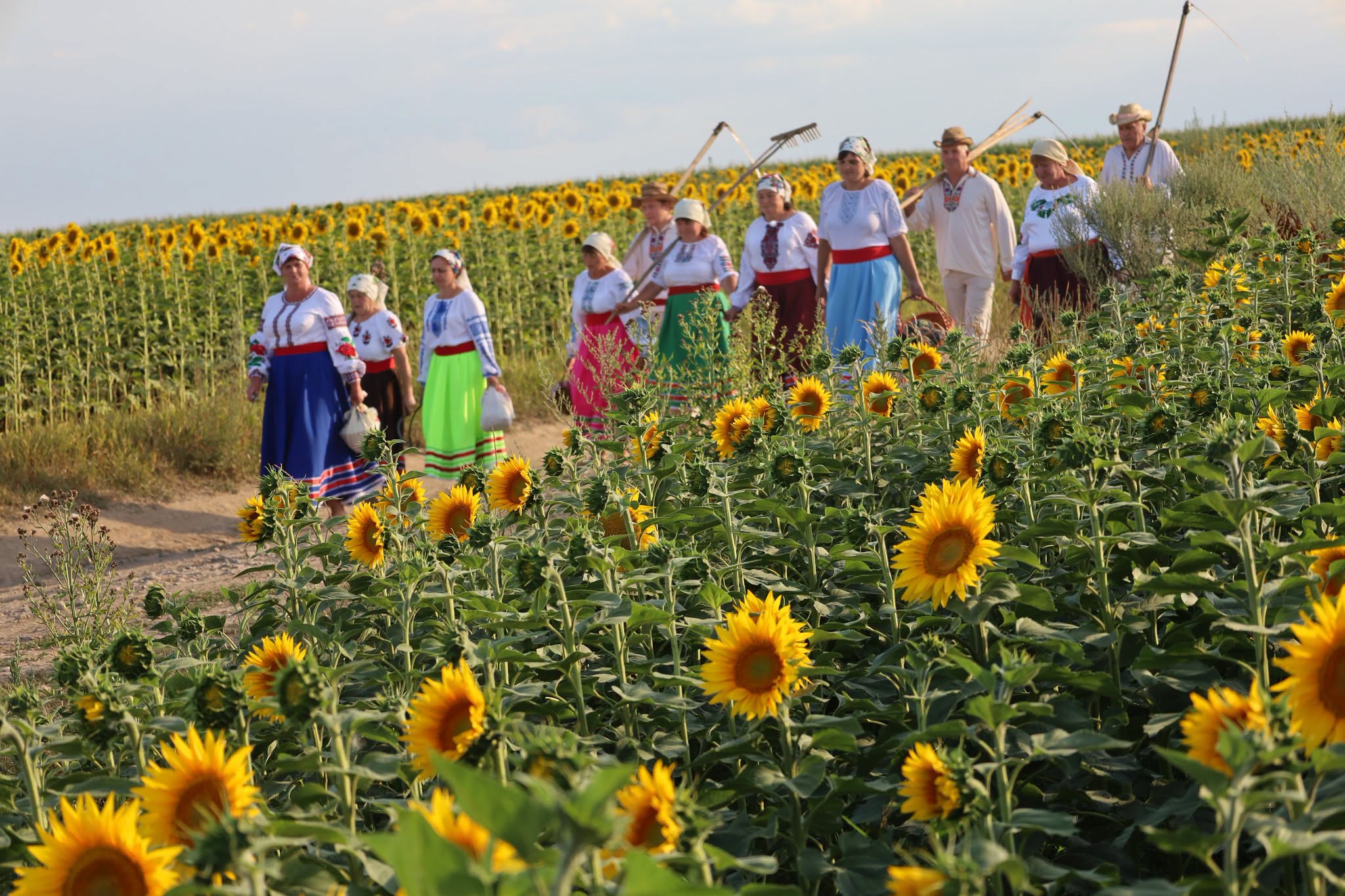 Народні пісні й стародавні звичаї: обряд зажинок відбувся в селах Вінниччини - фото 6