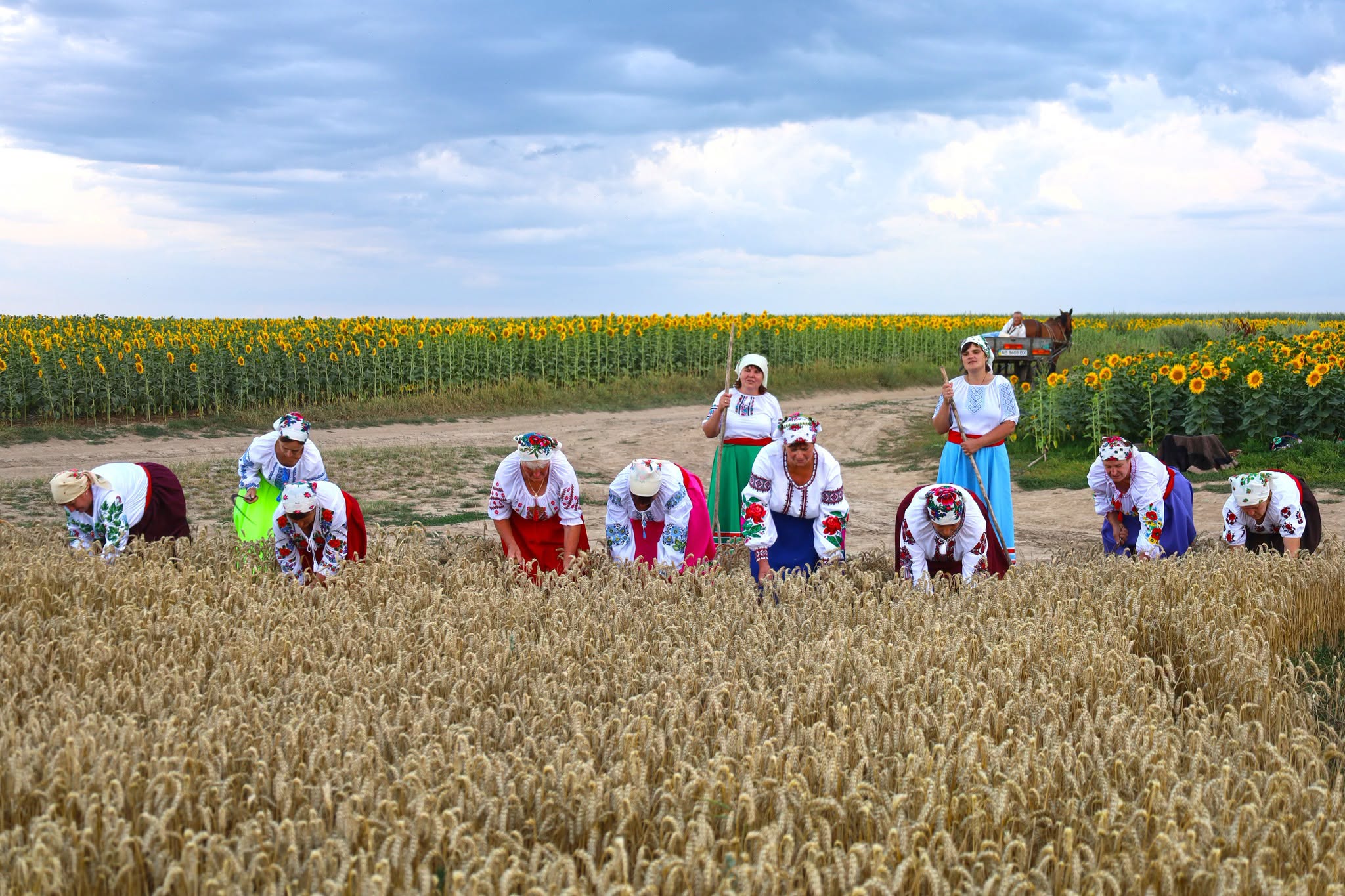Народні пісні й стародавні звичаї: обряд зажинок відбувся в селах Вінниччини - фото 10