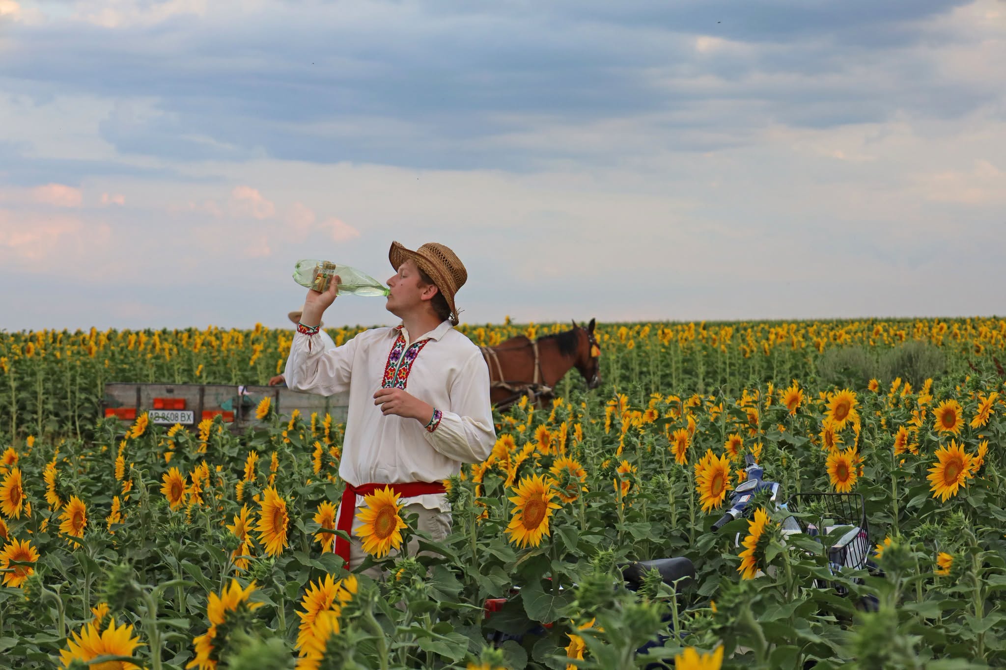 Народні пісні й стародавні звичаї: обряд зажинок відбувся в селах Вінниччини - фото 23