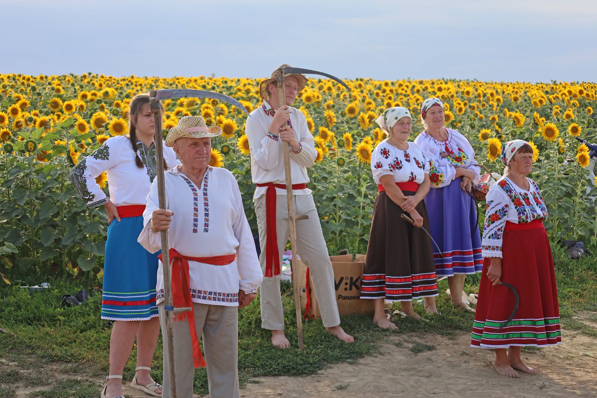 Народні пісні й стародавні звичаї: обряд зажинок відбувся в селах Вінниччини - фото 20