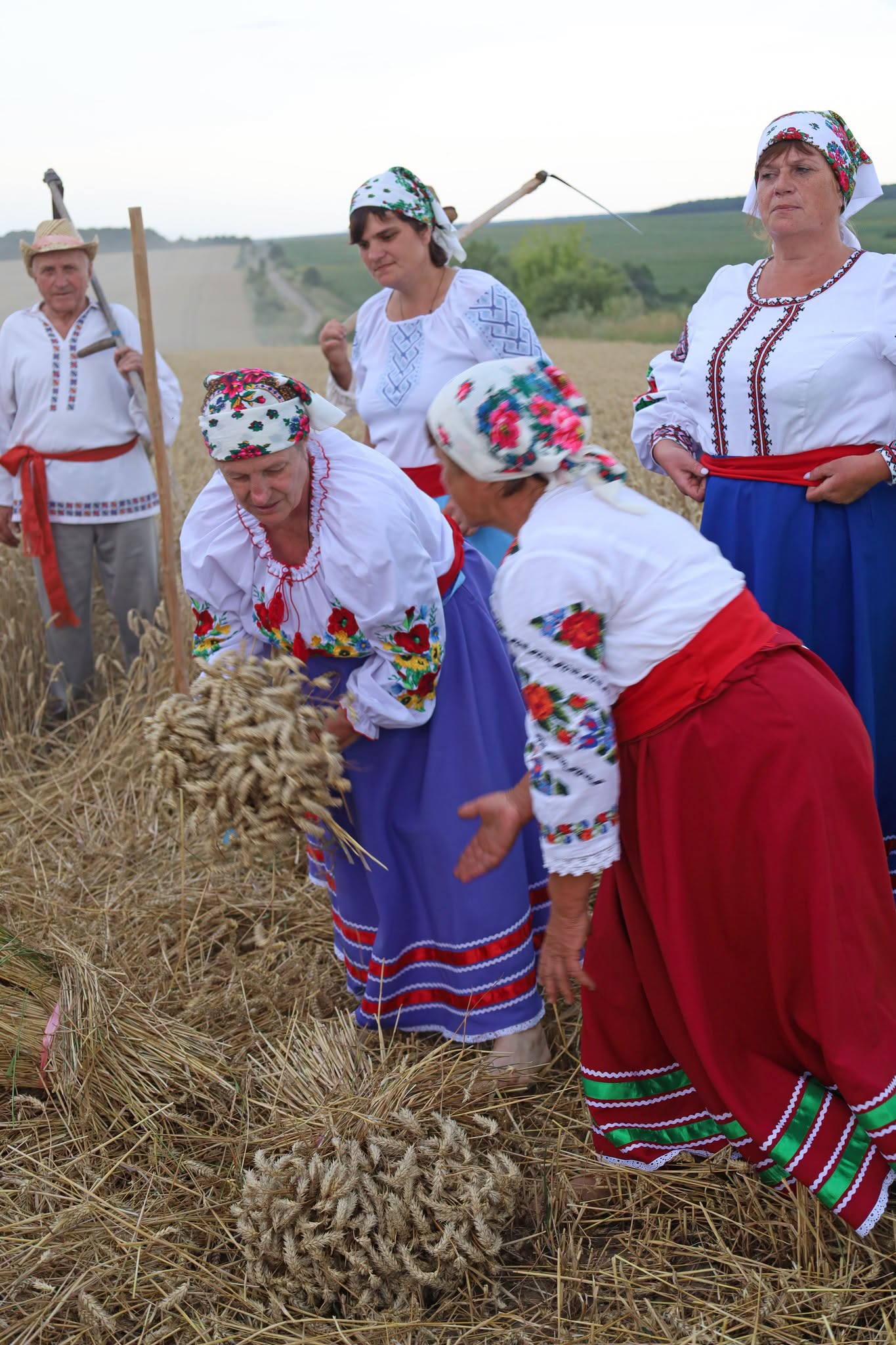 Народні пісні й стародавні звичаї: обряд зажинок відбувся в селах Вінниччини - фото 30