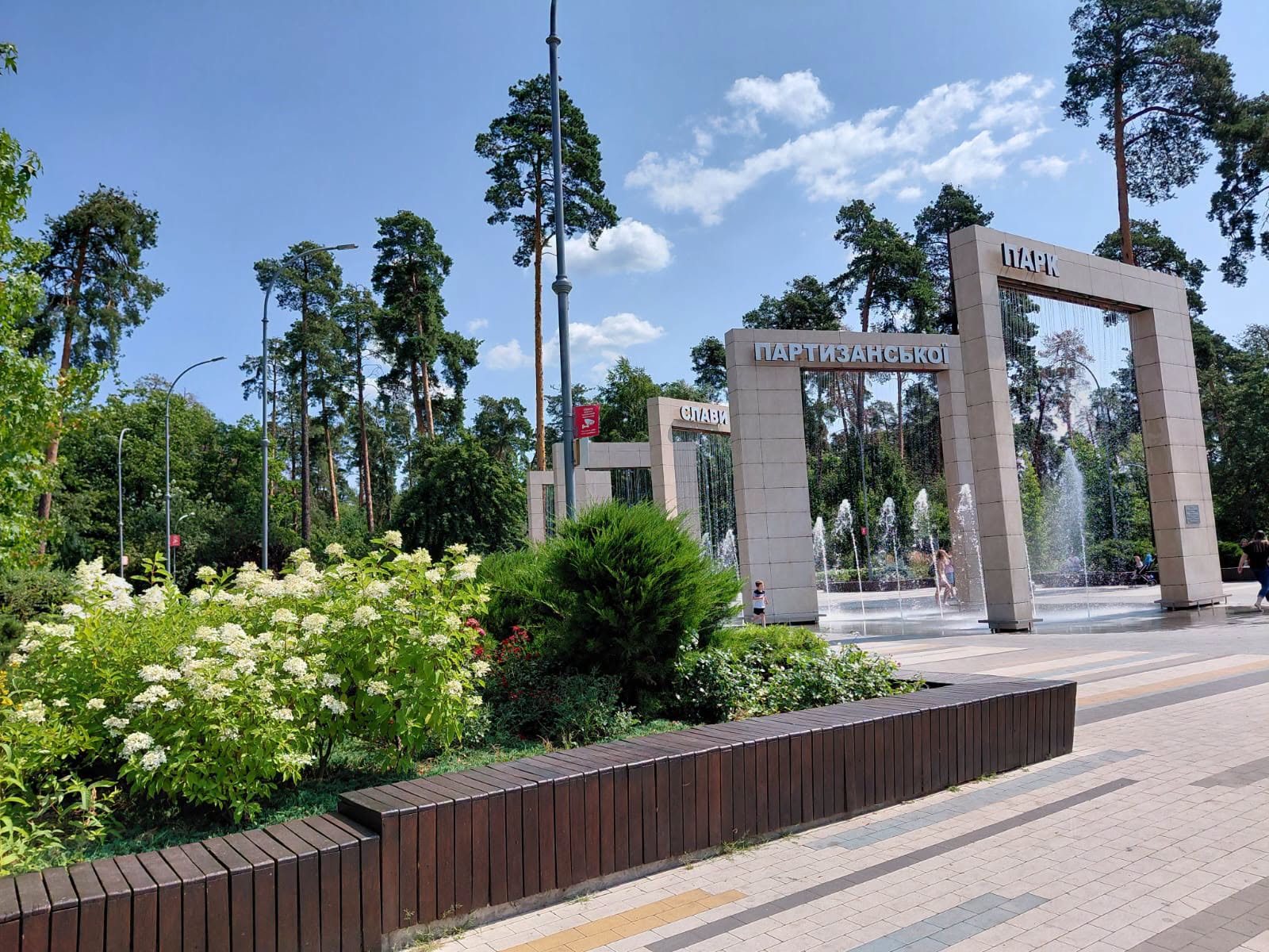 Де у Києві цвітуть гортензії: добірка наймальовничіших місць