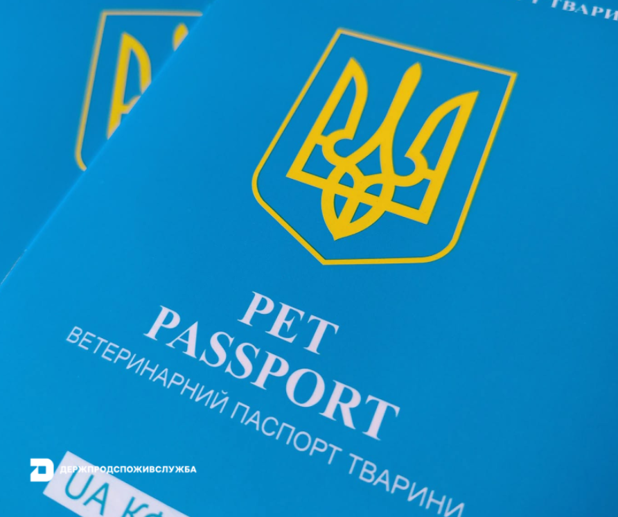 Ветеринарний паспорт нового зразка: що потрібно знати власникам котів та собак