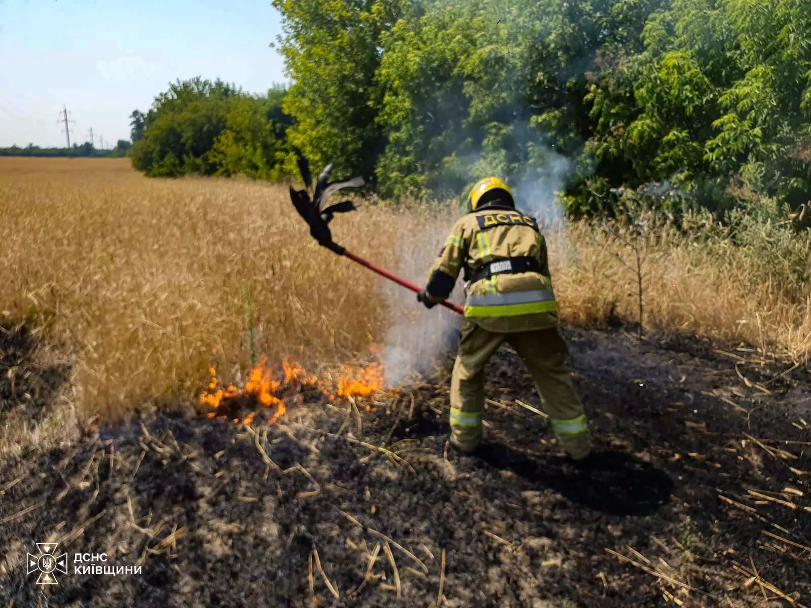 У Білій Церкві горіло поле з пшеницею