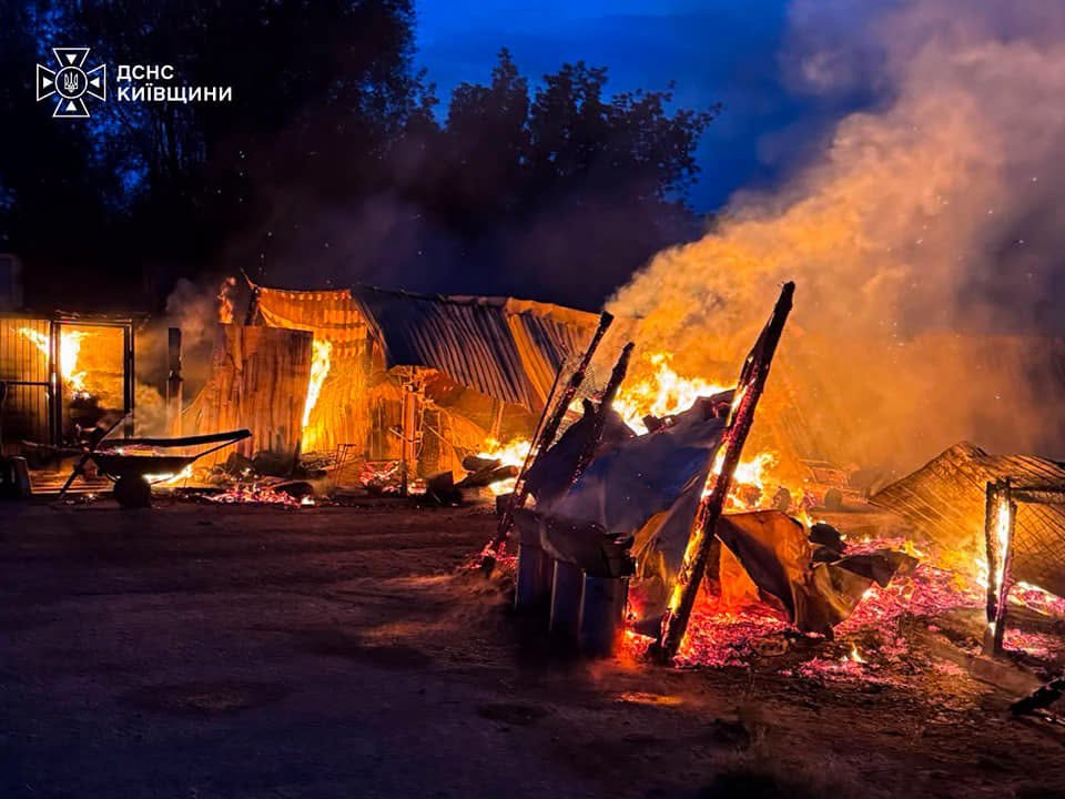 Поліція розслідує обставини пожежі у притулку для тварин «Сіріус» - фото 2