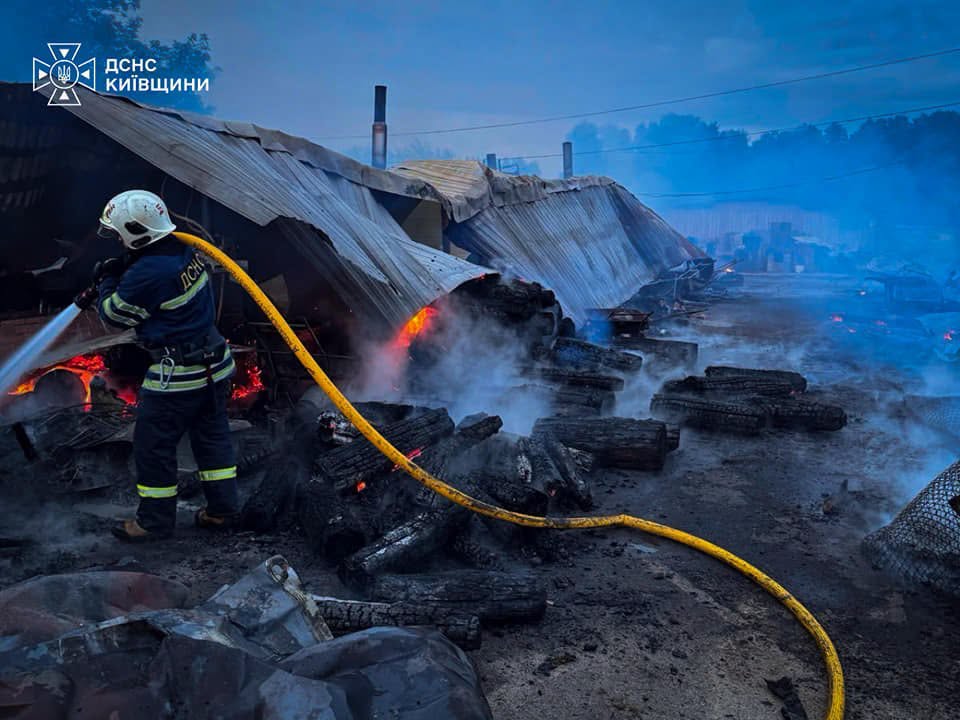 Поліція розслідує обставини пожежі у притулку для тварин «Сіріус» - фото 3